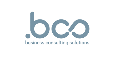 BCS Consultores de Negocio